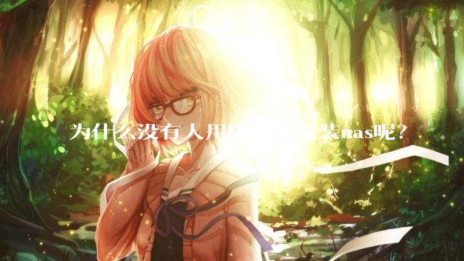 为什么没有人用塔式机箱装nas呢？